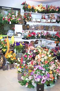 le magasin de Pont Malo